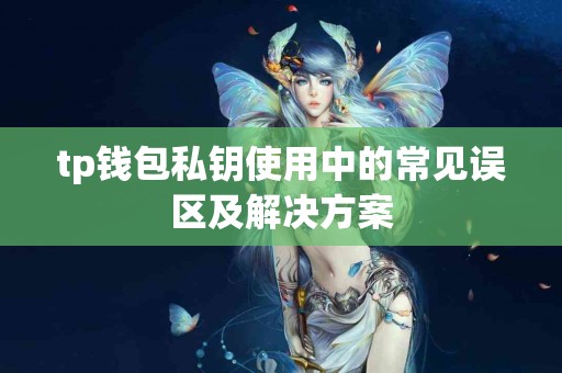 tp钱包私钥使用中的常见误区及解决方案