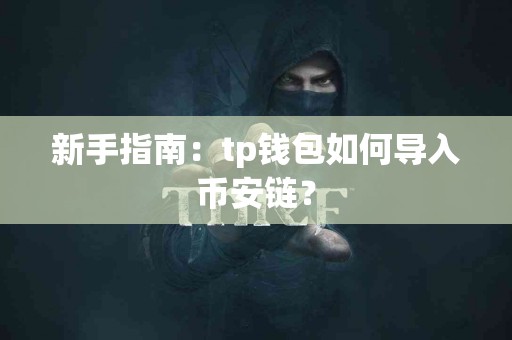 新手指南：tp钱包如何导入币安链？