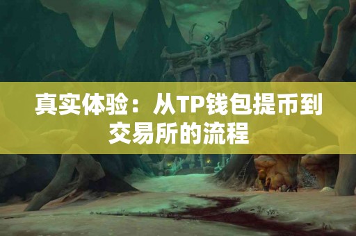 真实体验：从TP钱包提币到交易所的流程