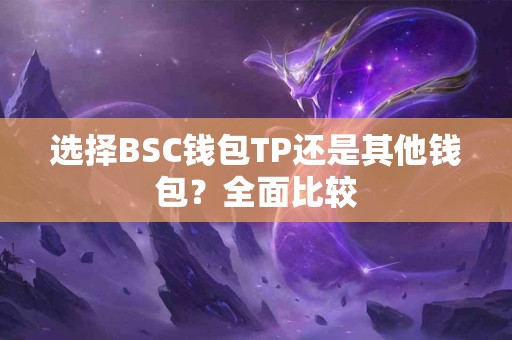 选择BSC钱包TP还是其他钱包？全面比较