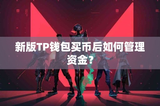 新版TP钱包买币后如何管理资金？