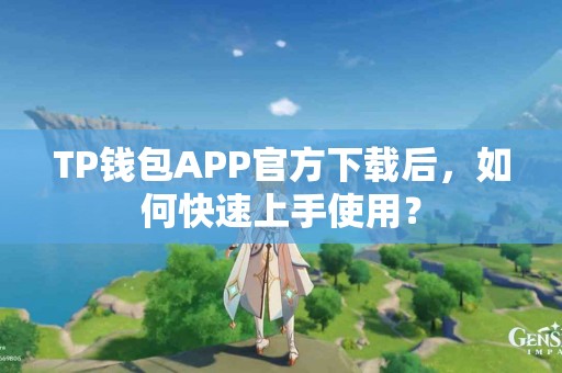 TP钱包APP官方下载后，如何快速上手使用？
