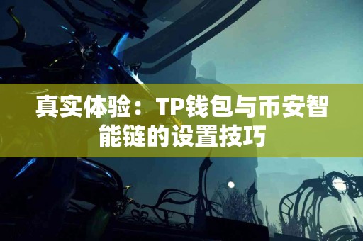 真实体验：TP钱包与币安智能链的设置技巧