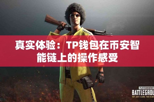 真实体验：TP钱包在币安智能链上的操作感受