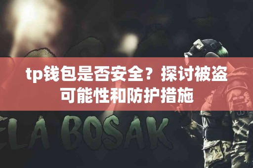 tp钱包是否安全？探讨被盗可能性和防护措施