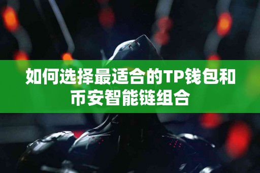 如何选择最适合的TP钱包和币安智能链组合