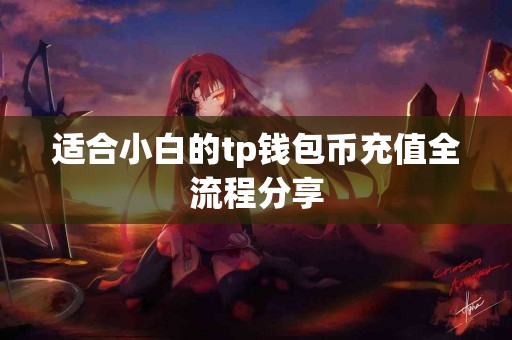 适合小白的tp钱包币充值全流程分享