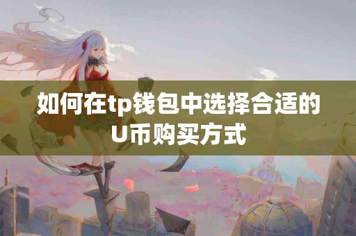 如何在tp钱包中选择合适的U币购买方式