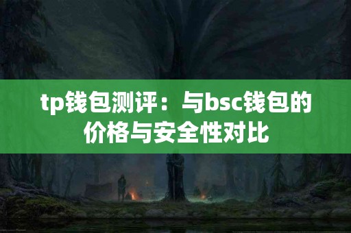 tp钱包测评：与bsc钱包的价格与安全性对比
