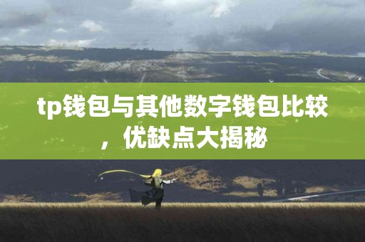 tp钱包与其他数字钱包比较，优缺点大揭秘