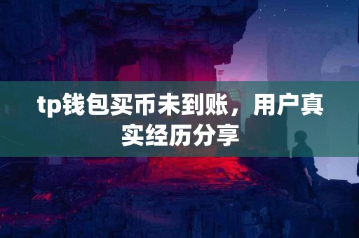 tp钱包买币未到账，用户真实经历分享