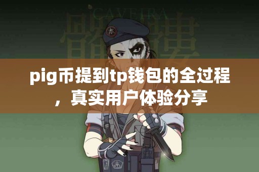 pig币提到tp钱包的全过程，真实用户体验分享