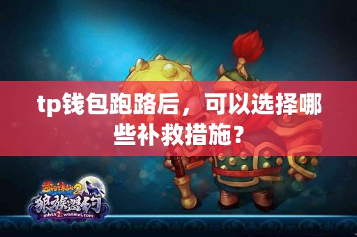 tp钱包跑路后，可以选择哪些补救措施？