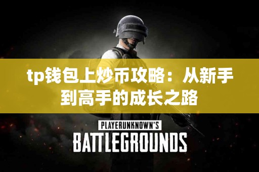 tp钱包上炒币攻略：从新手到高手的成长之路