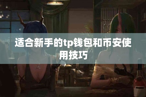 适合新手的tp钱包和币安使用技巧