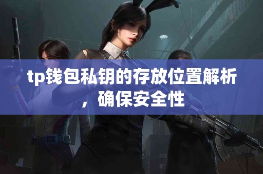 tp钱包私钥的存放位置解析，确保安全性