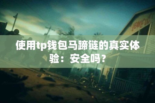 使用tp钱包马蹄链的真实体验：安全吗？