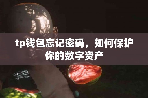 tp钱包忘记密码，如何保护你的数字资产