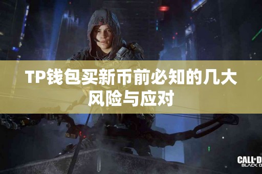 TP钱包买新币前必知的几大风险与应对
