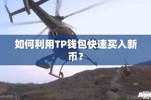 如何利用TP钱包快速买入新币？