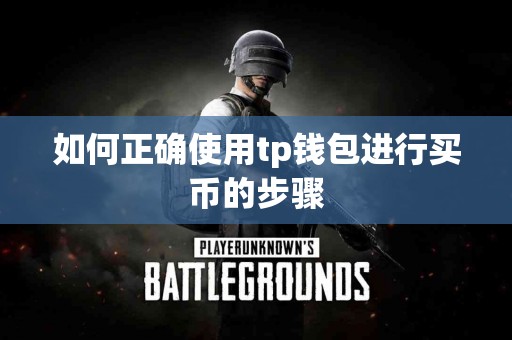 如何正确使用tp钱包进行买币的步骤