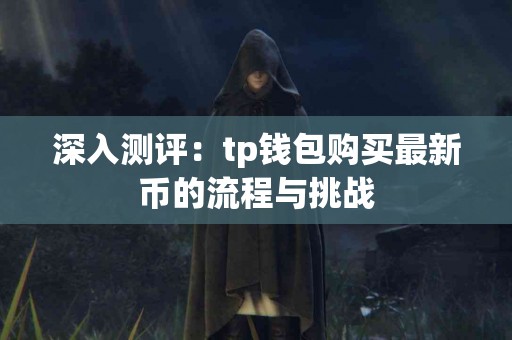深入测评：tp钱包购买最新币的流程与挑战