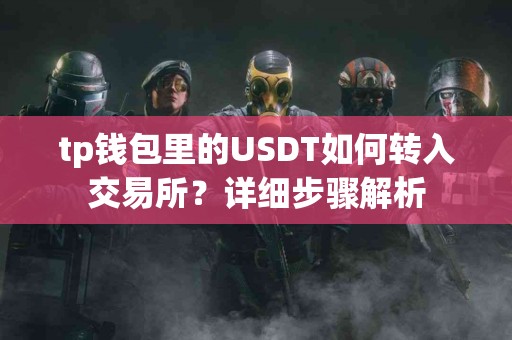 tp钱包里的USDT如何转入交易所？详细步骤解析