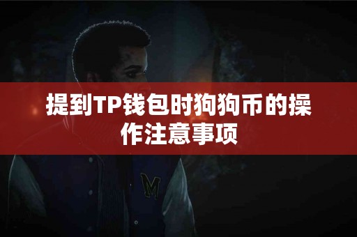 提到TP钱包时狗狗币的操作注意事项