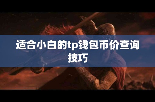 适合小白的tp钱包币价查询技巧
