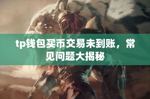 tp钱包买币交易未到账，常见问题大揭秘