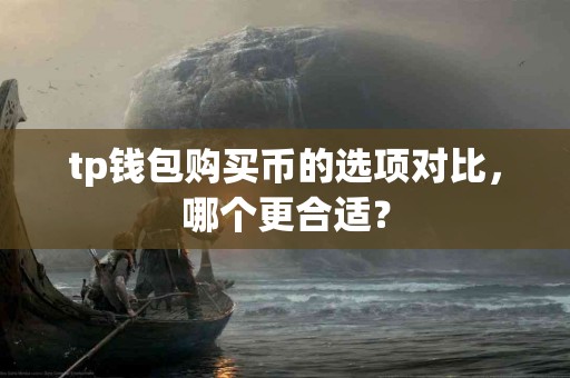 tp钱包购买币的选项对比，哪个更合适？