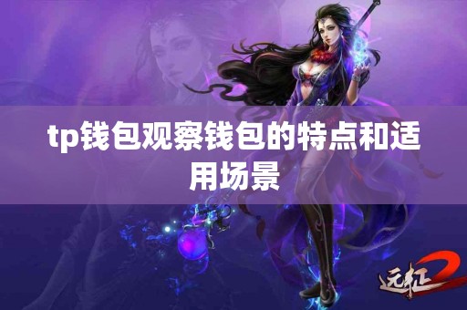 tp钱包观察钱包的特点和适用场景