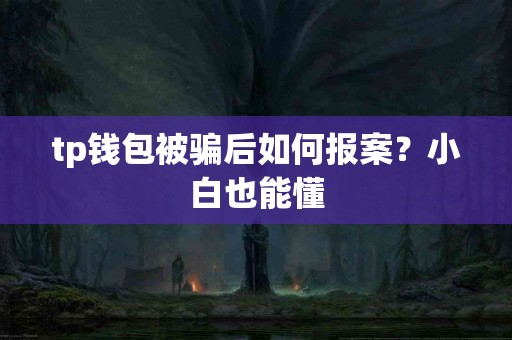 tp钱包被骗后如何报案？小白也能懂