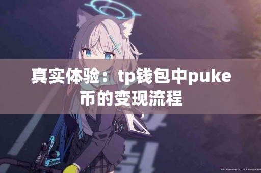 真实体验：tp钱包中puke币的变现流程