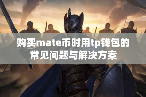 购买mate币时用tp钱包的常见问题与解决方案
