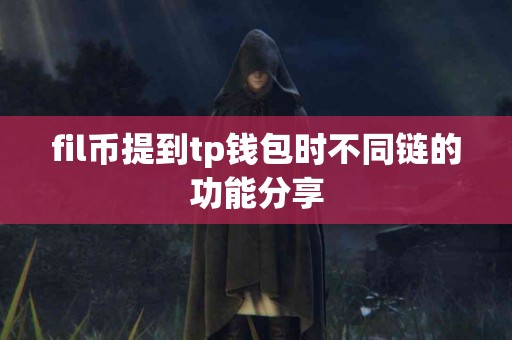fil币提到tp钱包时不同链的功能分享