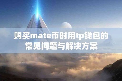 购买mate币时用tp钱包的常见问题与解决方案