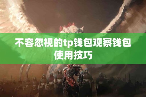 不容忽视的tp钱包观察钱包使用技巧