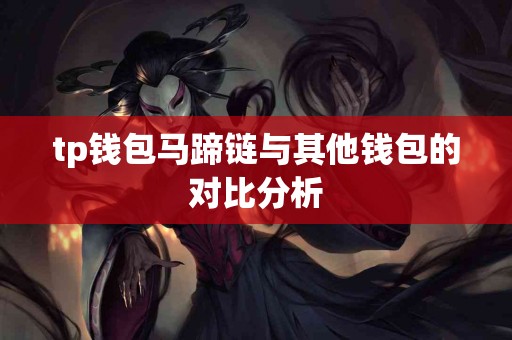 tp钱包马蹄链与其他钱包的对比分析