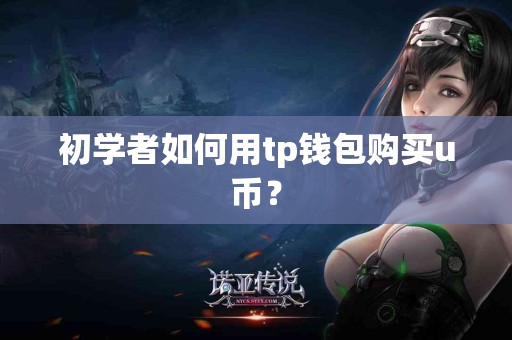 初学者如何用tp钱包购买u币？