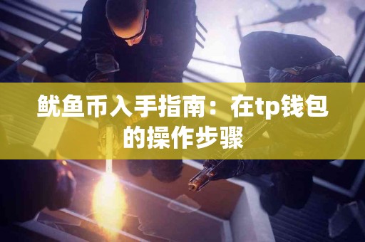 鱿鱼币入手指南：在tp钱包的操作步骤