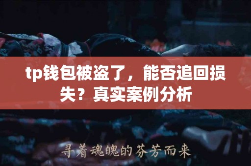 tp钱包被盗了，能否追回损失？真实案例分析