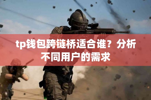 tp钱包跨链桥适合谁？分析不同用户的需求