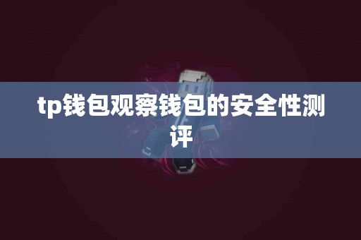 tp钱包观察钱包的安全性测评