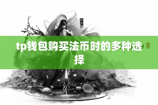 tp钱包购买法币时的多种选择 tp钱包购买法币时的多种选择