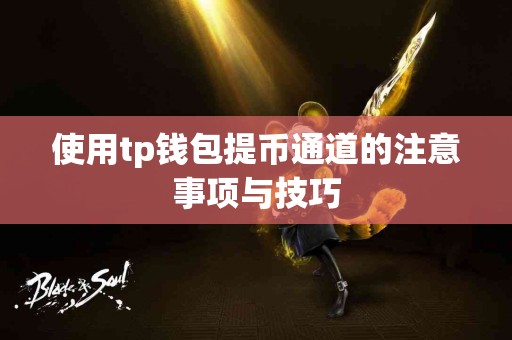 使用tp钱包提币通道的注意事项与技巧
