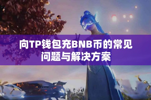 向TP钱包充BNB币的常见问题与解决方案