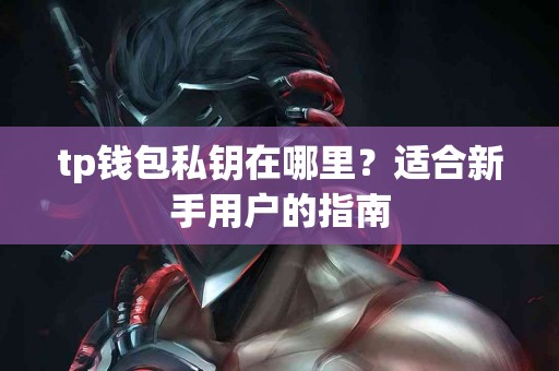 tp钱包私钥在哪里？适合新手用户的指南