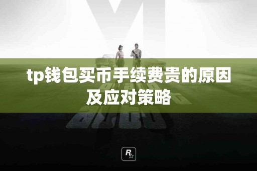 tp钱包买币手续费贵的原因及应对策略